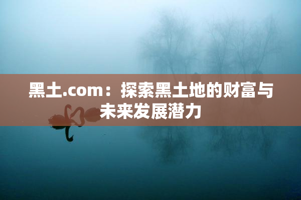 黑土.com：探索黑土地的财富与未来发展潜力