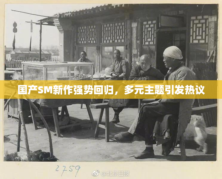 国产SM新作强势回归，多元主题引发热议