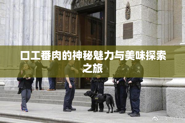 口工番肉的神秘魅力与美味探索之旅