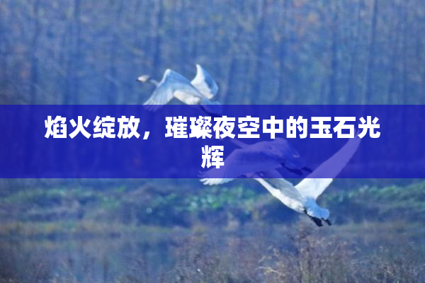 焰火绽放，璀璨夜空中的玉石光辉
