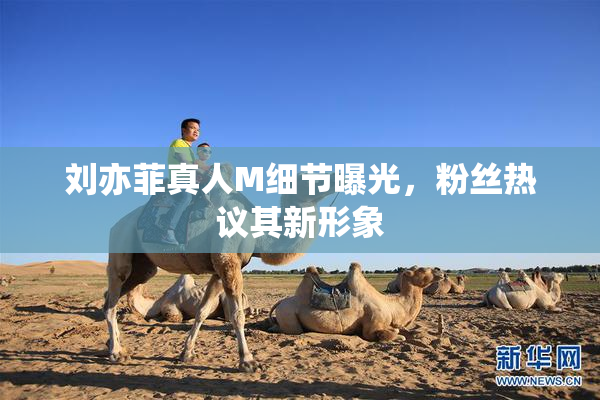 刘亦菲真人M细节曝光，粉丝热议其新形象