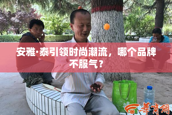安雅·泰引领时尚潮流，哪个品牌不服气？