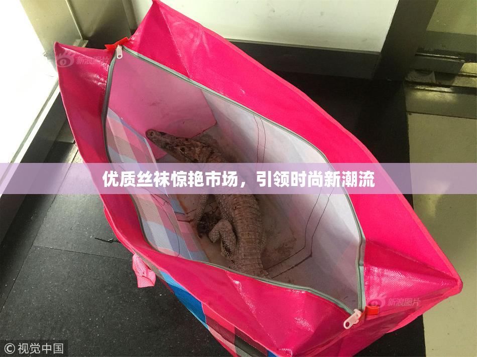 优质丝袜惊艳市场，引领时尚新潮流