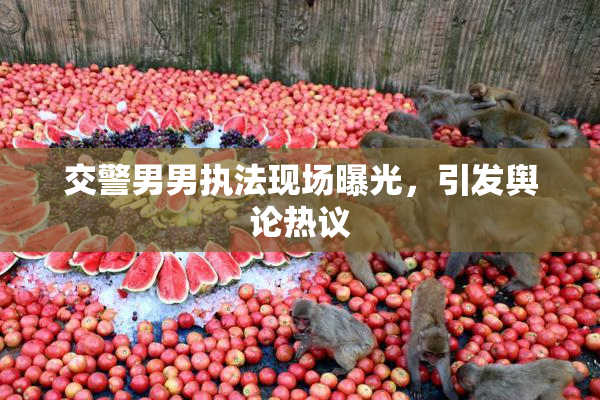 交警男男执法现场曝光，引发舆论热议