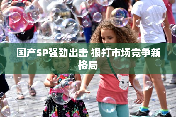 国产SP强劲出击 狠打市场竞争新格局