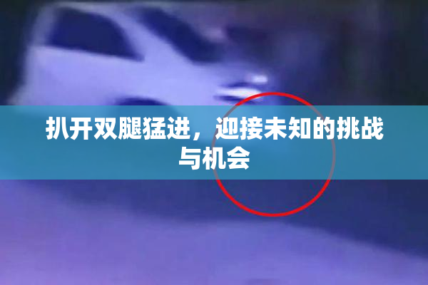 扒开双腿猛进，迎接未知的挑战与机会