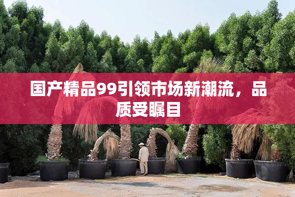 国产精品99引领市场新潮流，品质受瞩目