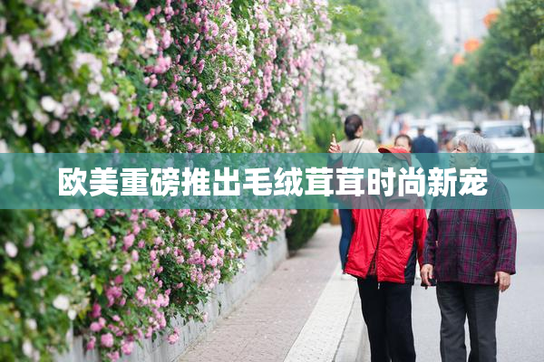 欧美重磅推出毛绒茸茸时尚新宠