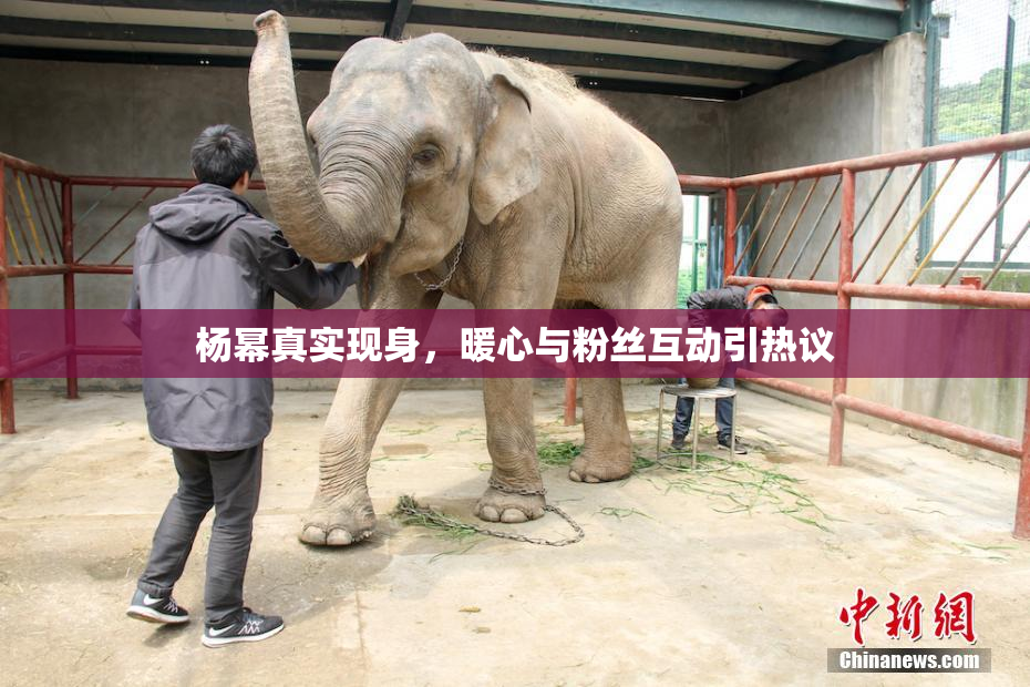 杨幂真实现身，暖心与粉丝互动引热议
