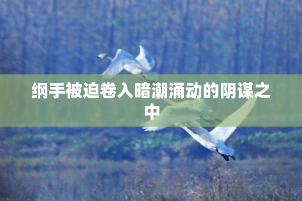 纲手被迫卷入暗潮涌动的阴谋之中