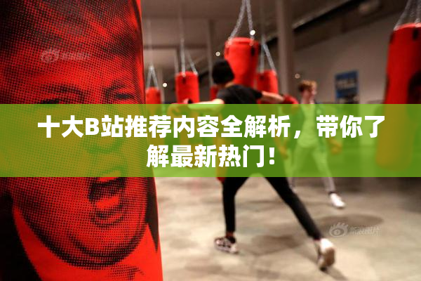 十大B站推荐内容全解析，带你了解最新热门！