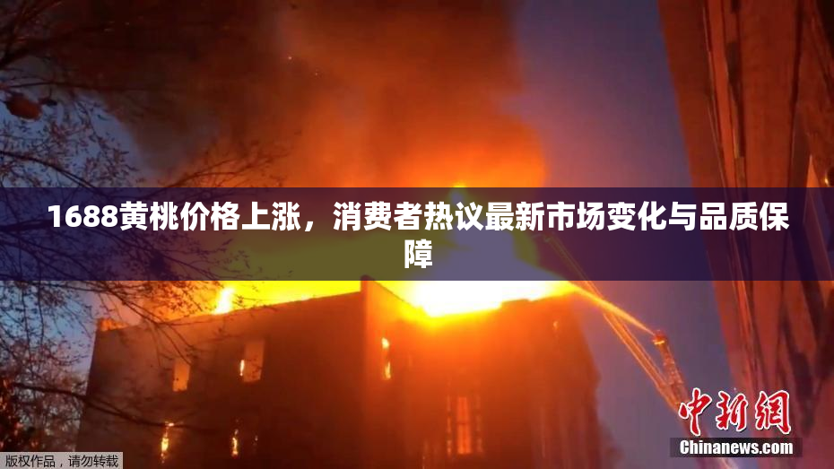 1688黄桃价格上涨，消费者热议最新市场变化与品质保障