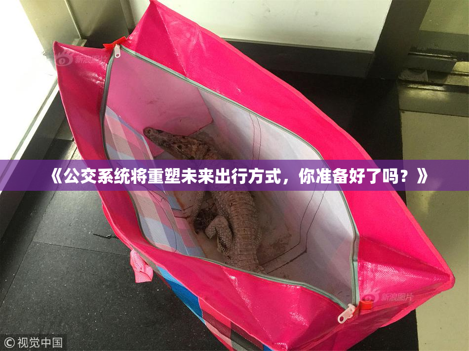 《公交系统将重塑未来出行方式，你准备好了吗？》