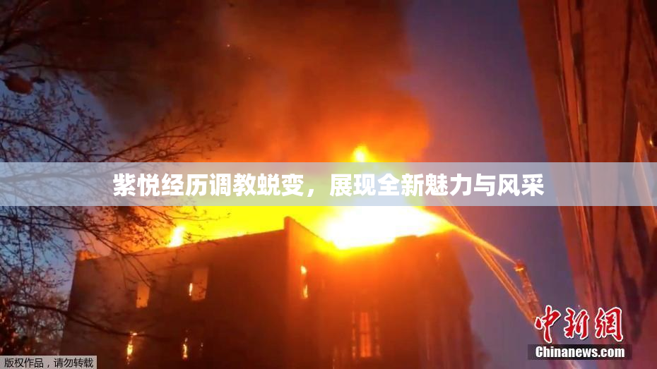 紫悦经历调教蜕变，展现全新魅力与风采