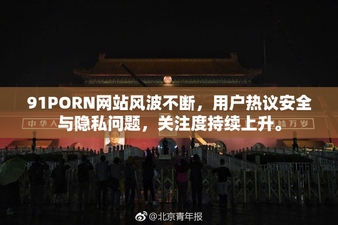 91PORN网站风波不断，用户热议安全与隐私问题，关注度持续上升。