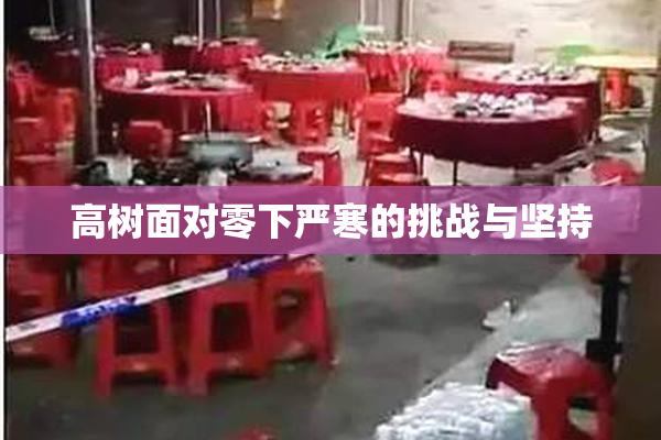高树面对零下严寒的挑战与坚持