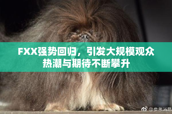 FXX强势回归，引发大规模观众热潮与期待不断攀升