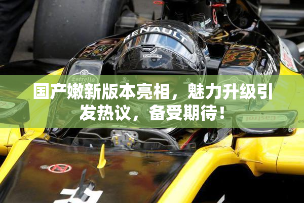 国产嫩新版本亮相，魅力升级引发热议，备受期待！