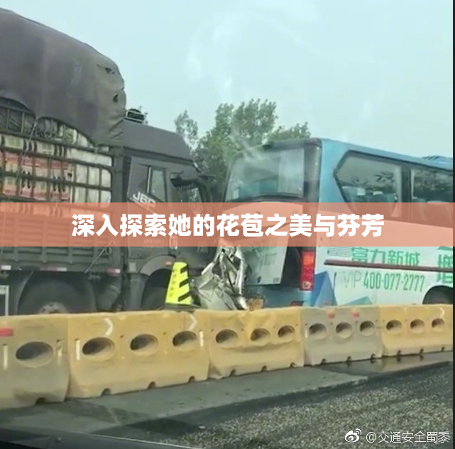 深入探索她的花苞之美与芬芳