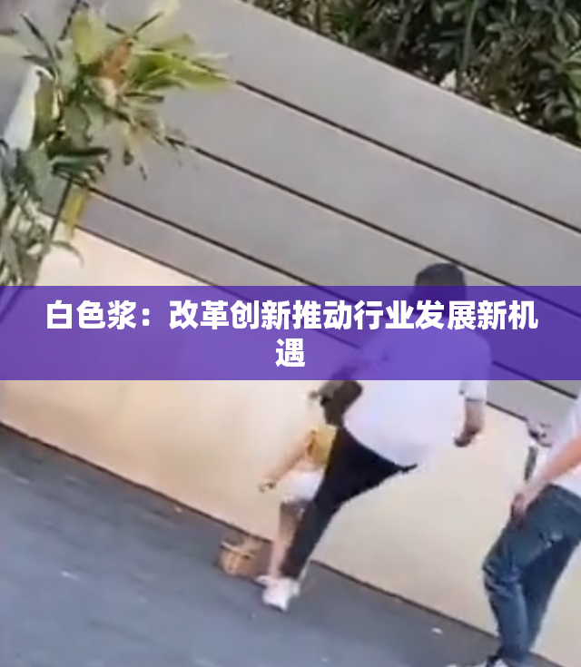 白色浆：改革创新推动行业发展新机遇