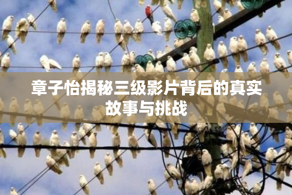 章子怡揭秘三级影片背后的真实故事与挑战