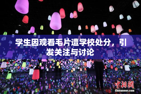 学生因观看毛片遭学校处分，引发关注与讨论