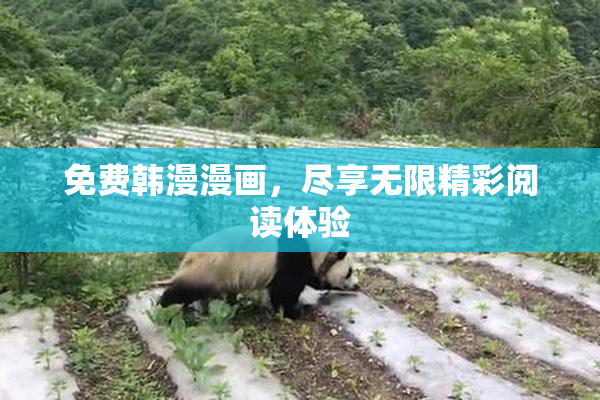 免费韩漫漫画，尽享无限精彩阅读体验