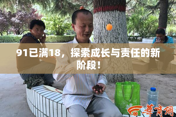 91已满18，探索成长与责任的新阶段！
