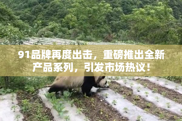 91品牌再度出击，重磅推出全新产品系列，引发市场热议！