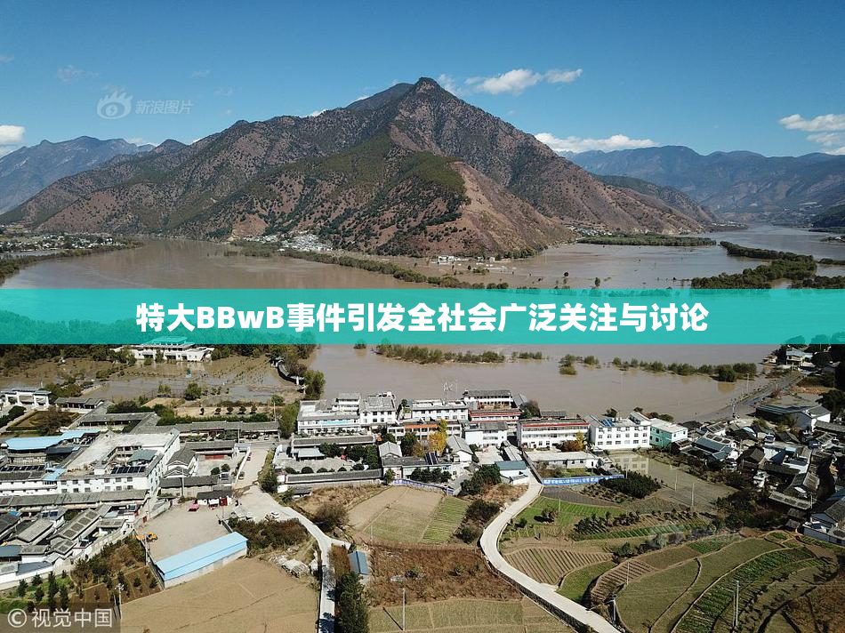 特大BBwB事件引发全社会广泛关注与讨论