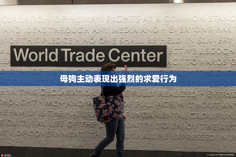 母狗主动表现出强烈的求爱行为