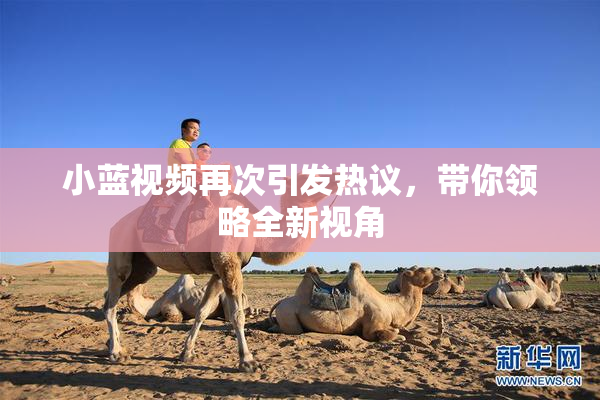 小蓝视频再次引发热议，带你领略全新视角