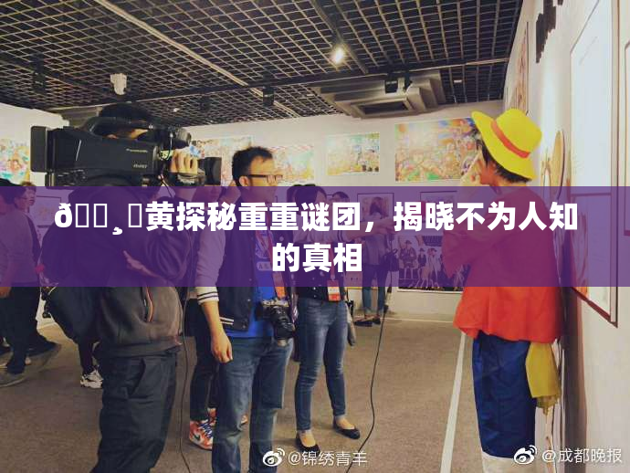 🌸‌黄探秘重重谜团，揭晓不为人知的真相