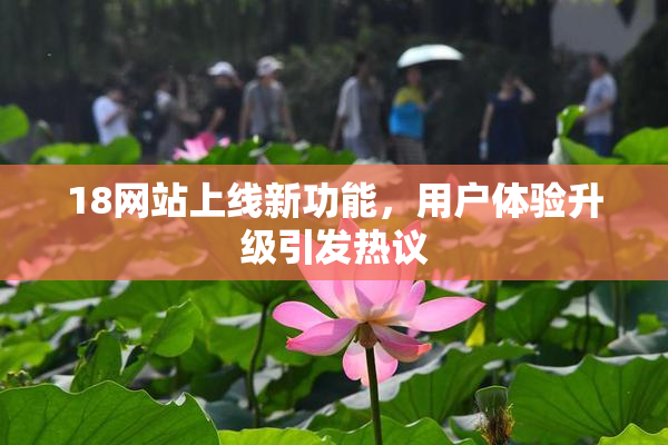 18网站上线新功能，用户体验升级引发热议