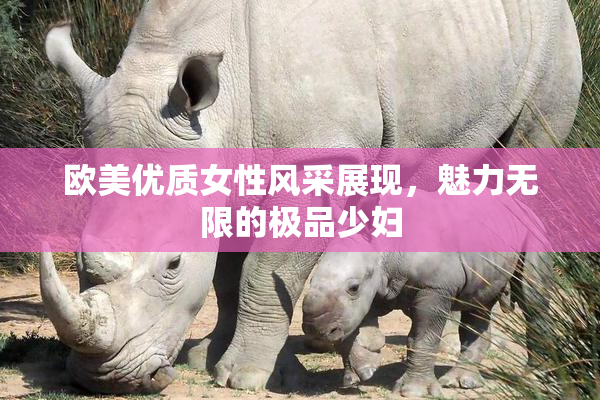 欧美优质女性风采展现，魅力无限的极品少妇