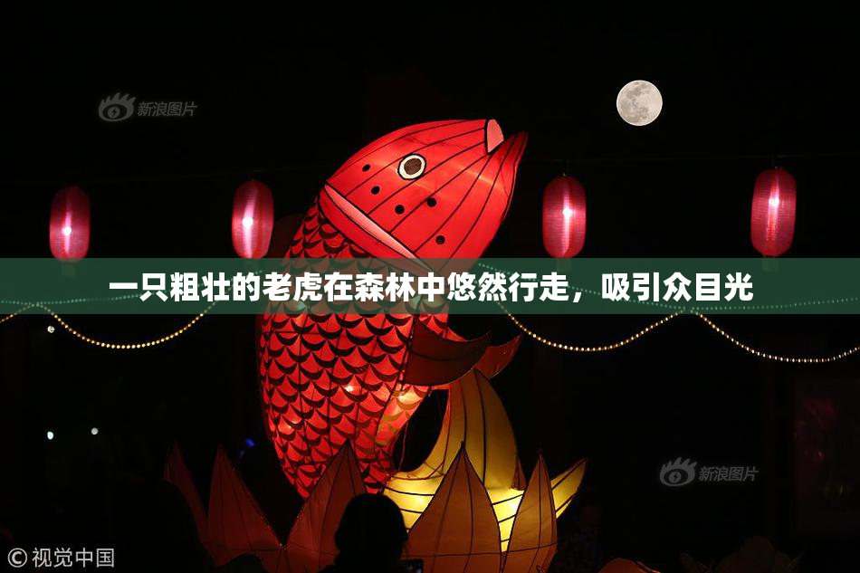 一只粗壮的老虎在森林中悠然行走，吸引众目光