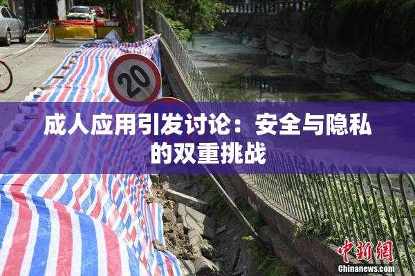 成人应用引发讨论：安全与隐私的双重挑战