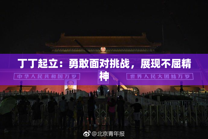 丁丁起立：勇敢面对挑战，展现不屈精神