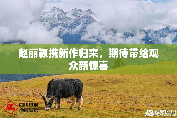 赵丽颖携新作归来，期待带给观众新惊喜