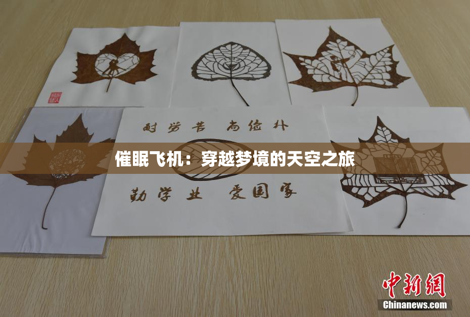 催眠飞机：穿越梦境的天空之旅