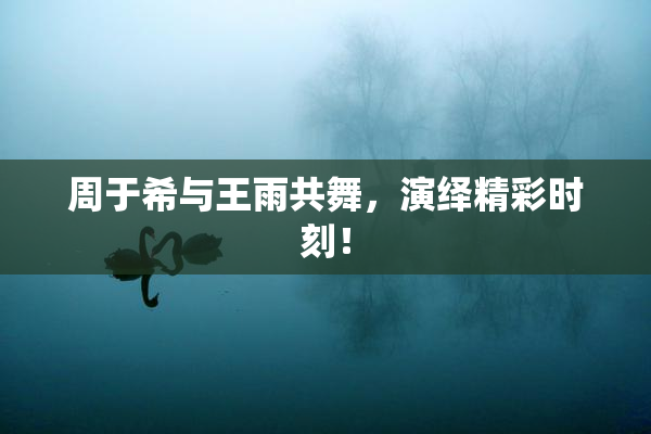 周于希与王雨共舞，演绎精彩时刻！