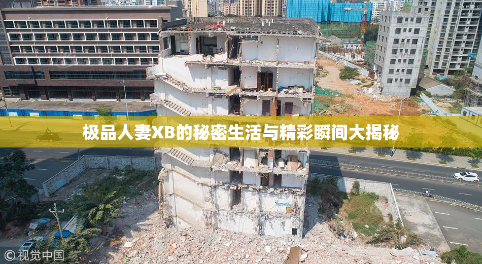 极品人妻XB的秘密生活与精彩瞬间大揭秘