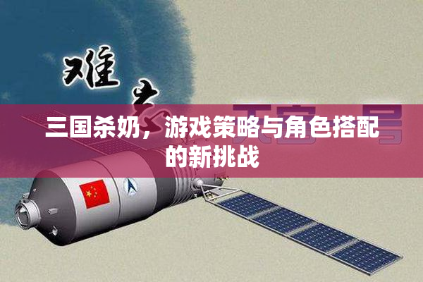 三国杀奶，游戏策略与角色搭配的新挑战