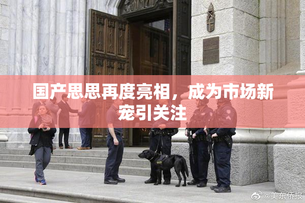国产思思再度亮相，成为市场新宠引关注