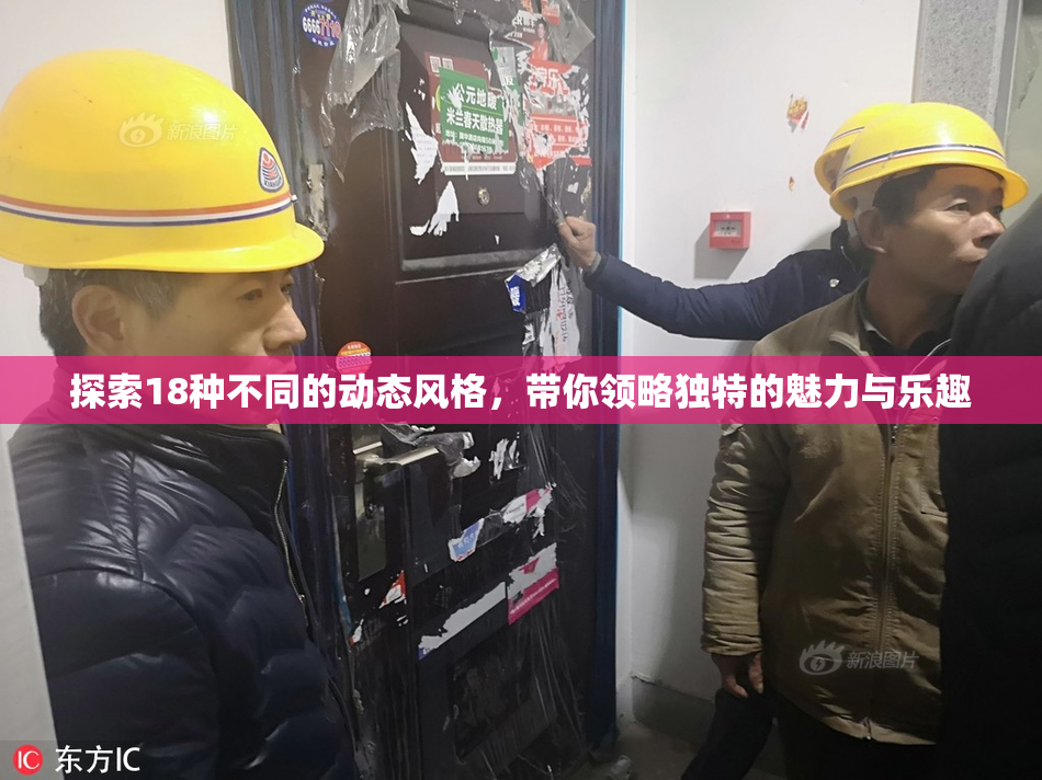 探索18种不同的动态风格，带你领略独特的魅力与乐趣