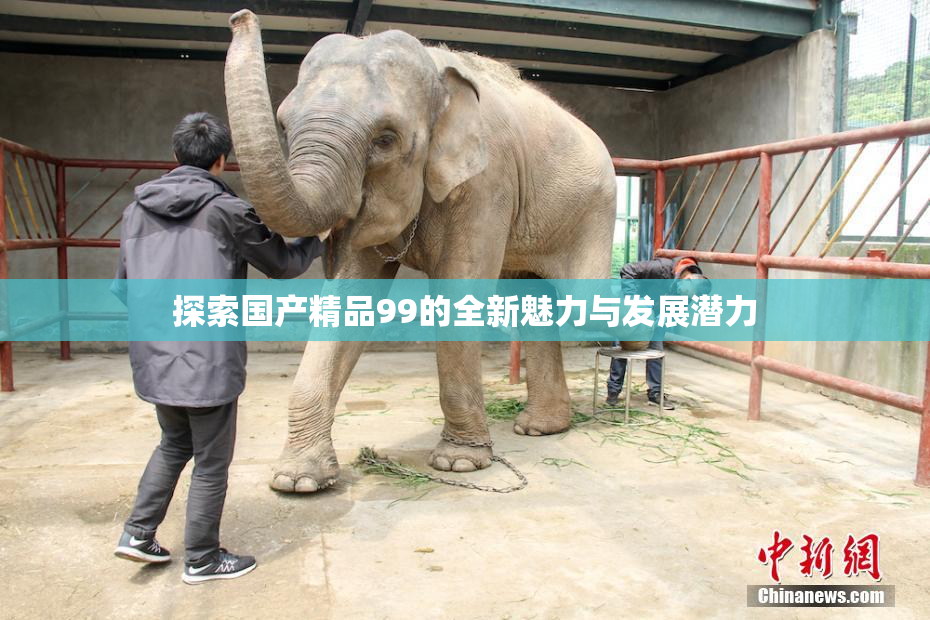 探索国产精品99的全新魅力与发展潜力