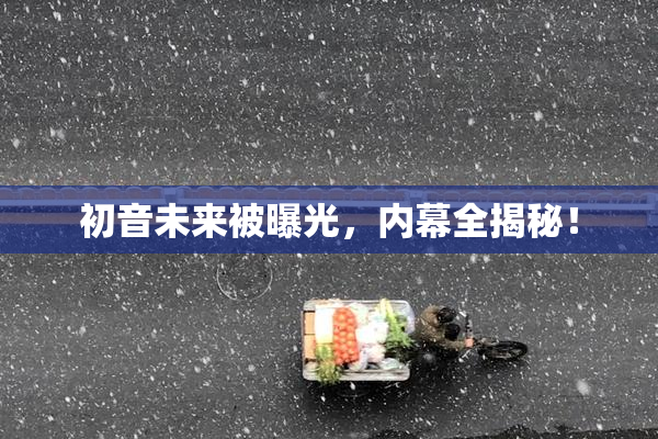 初音未来被曝光，内幕全揭秘！