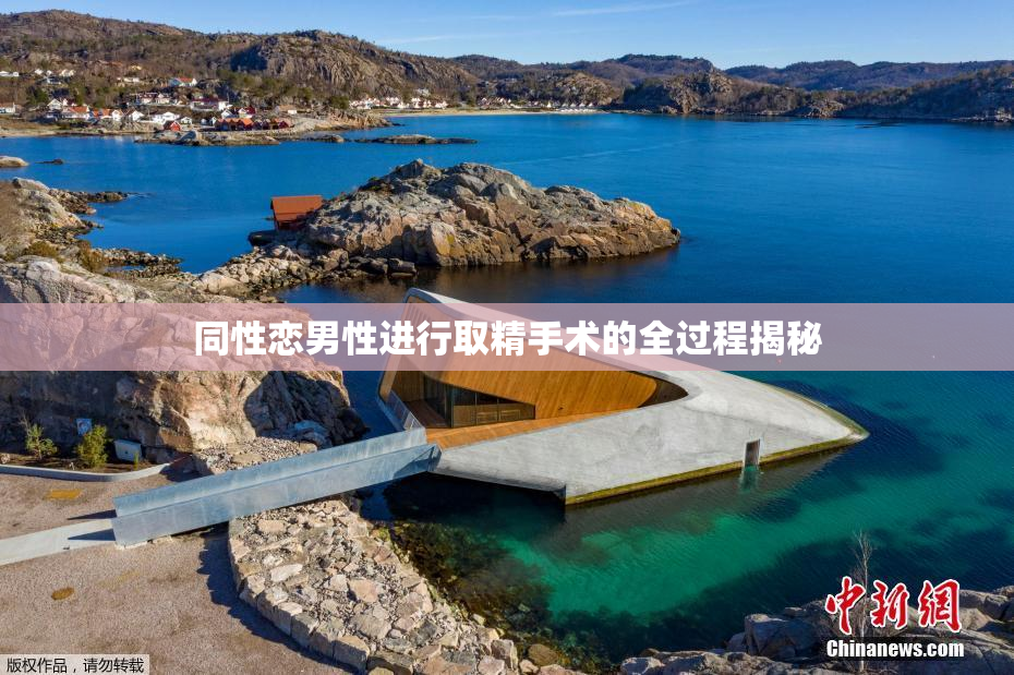 同性恋男性进行取精手术的全过程揭秘