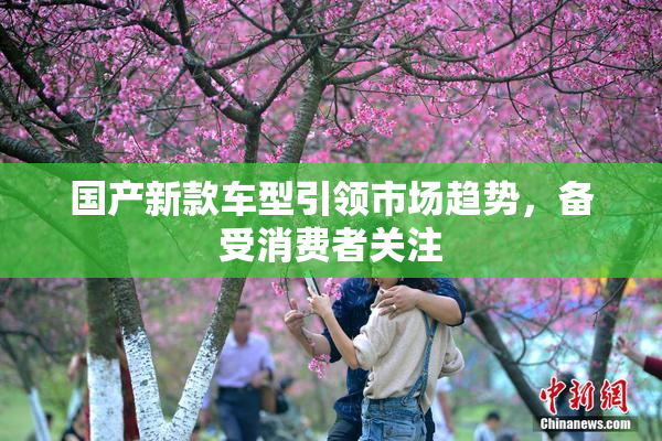 国产新款车型引领市场趋势，备受消费者关注
