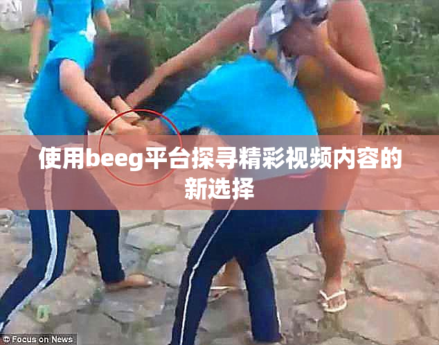 使用beeg平台探寻精彩视频内容的新选择
